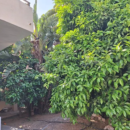 Big House In Center Of Protaras, Near Protaras