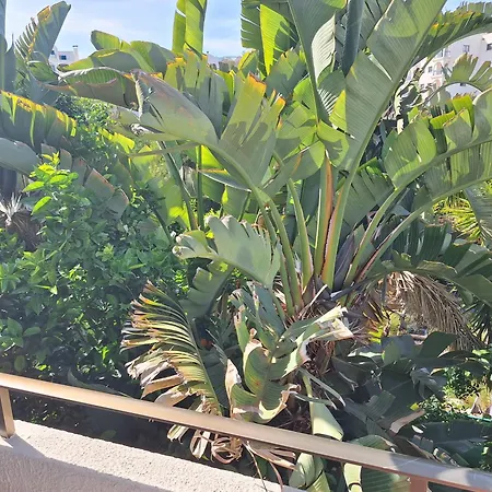 Casa vacanze Big House In Center Of Protaras, Near Protaras