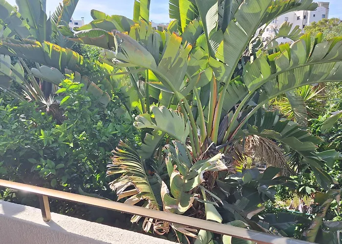 Casa vacanze Big House In Center Of Protaras, Near Protaras